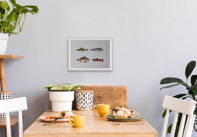 Fishes perfect for the kitchen art