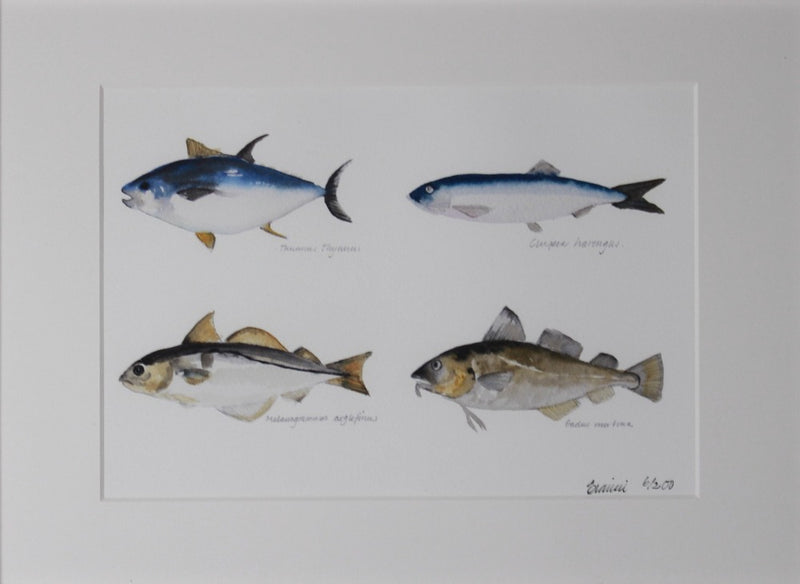 Poissons bleus