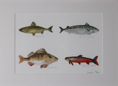 Red fishes Fine art for summer house