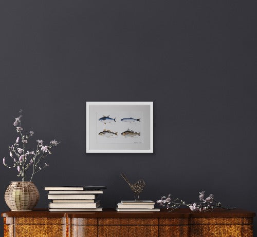 Fine Art Fishes för sommarstugor